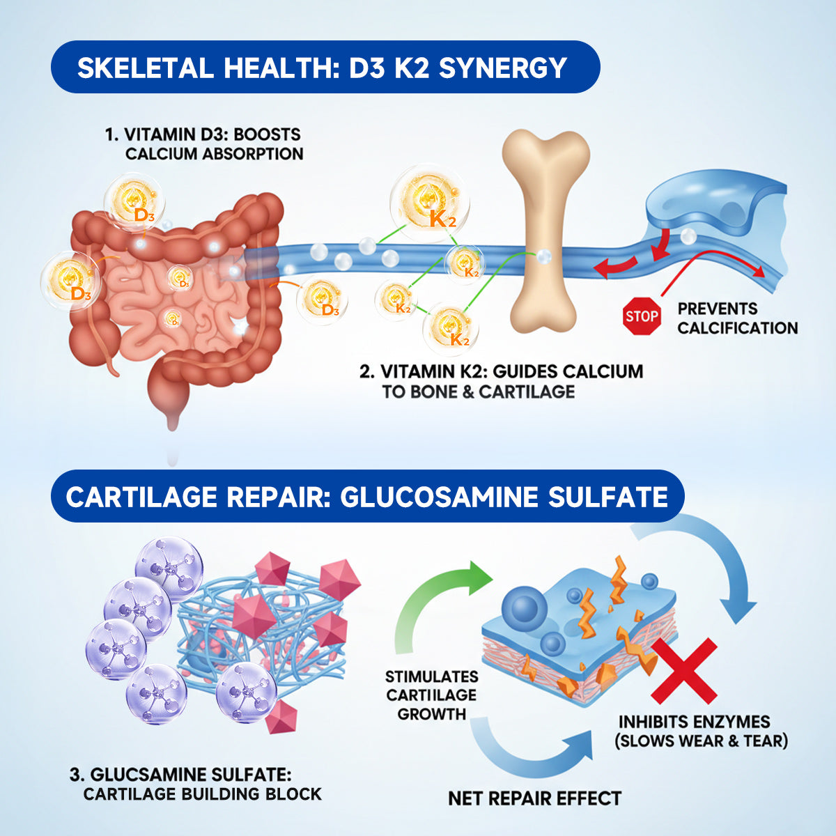 🏃➡️🌿Zvoevo® BPC-157 Stabilized-Peptide Joint Recovery Oral Liquid - ✅Clinically Co-Developed with the U.K. Peptide Research Alliance (UKPRA)