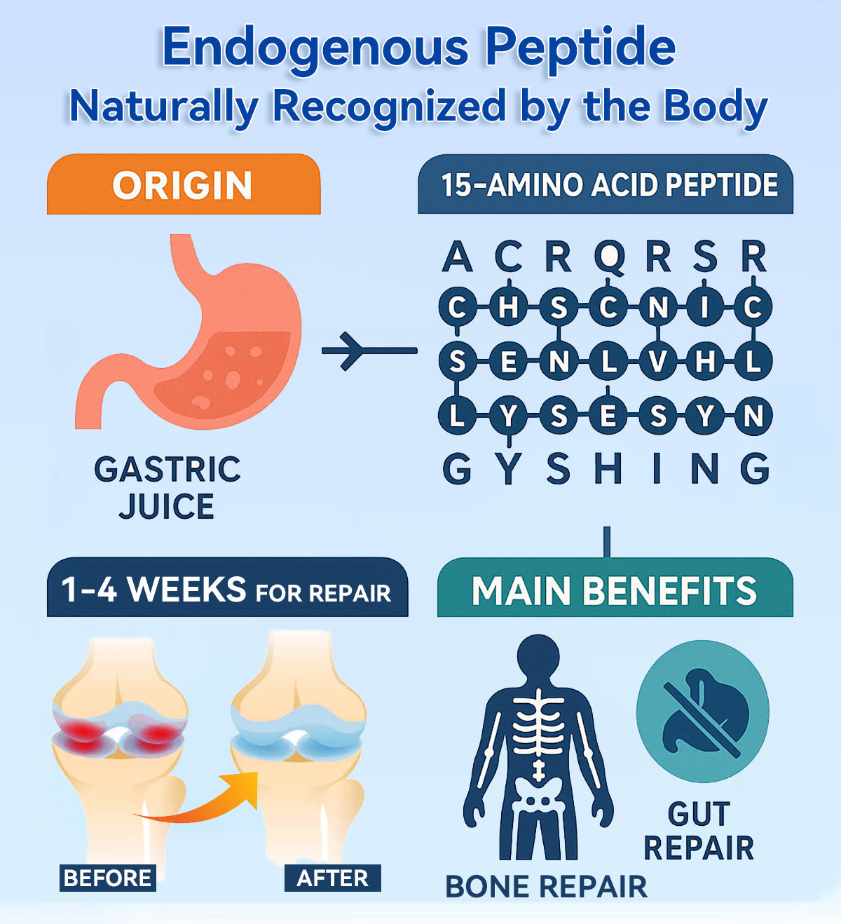 🏃‍➡️🌿Zvoevo® BPC-157 Stabilized-Peptide Joint Recovery Oral Liquid - ✅Clinically Co-Developed with the U.K. Peptide Research Alliance (UKPRA)